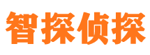 洛川市私家侦探